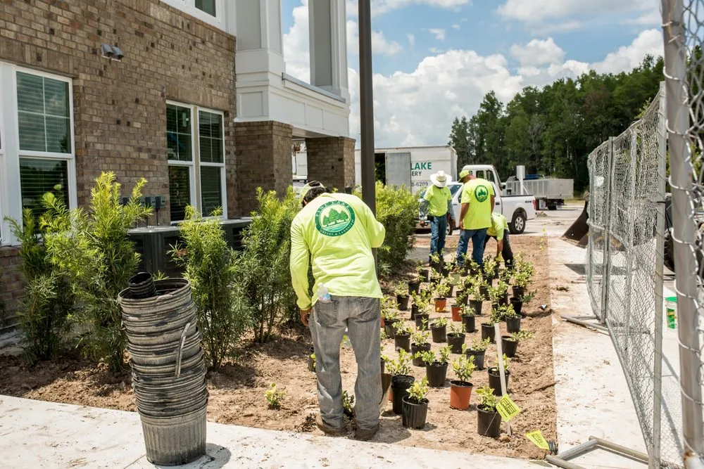 Expert garden landscaping in Odessa, FL - Pine Lake Nursery & Landscape