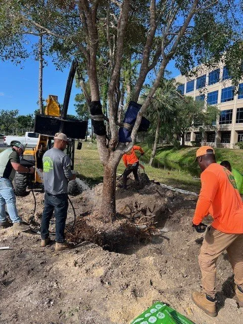 Expert landscape installation near you across Odessa, FL - Pine Lake Nursery & Landscape