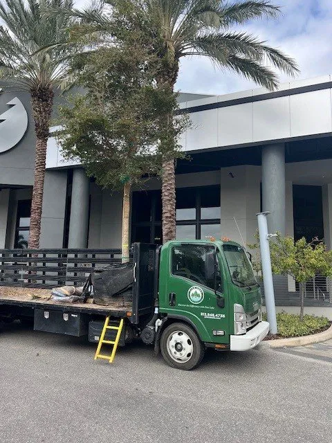 Trusted yard cleanup service for homes in Odessa, FL by Pine Lake Nursery & Landscape