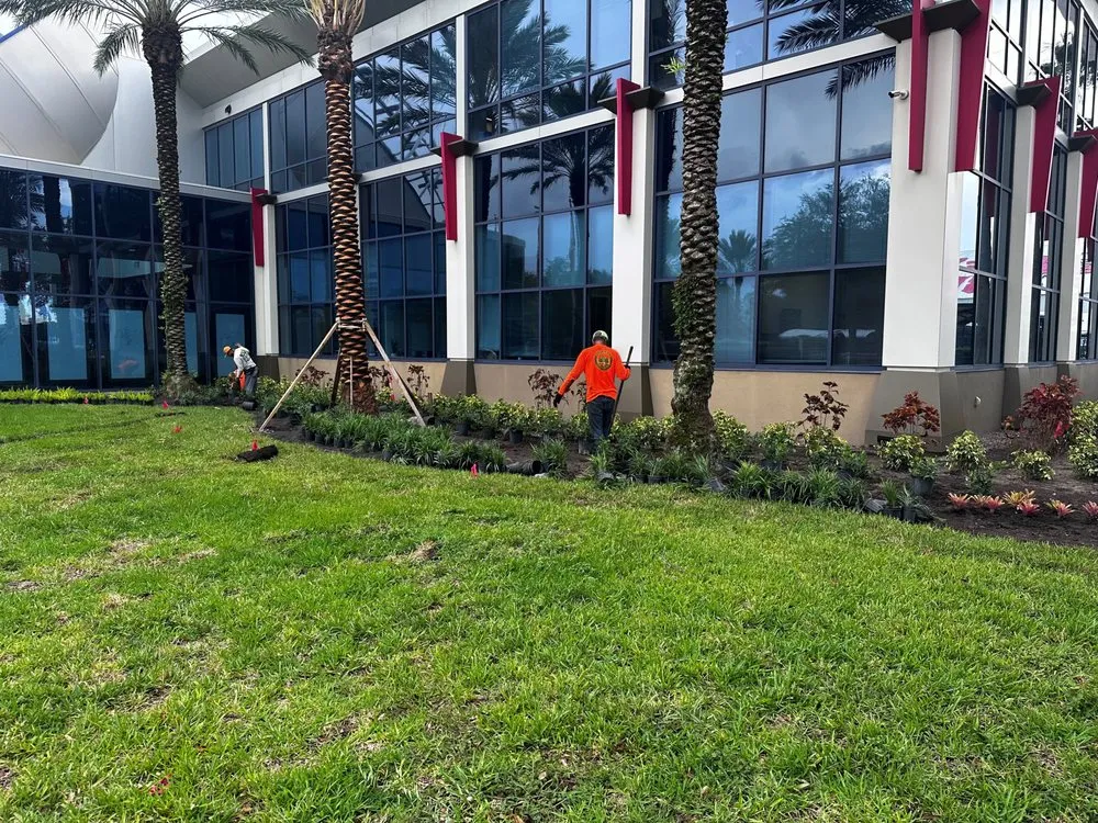 Professional residential landscaping for homes across Odessa, FL - Pine Lake Nursery & Landscape