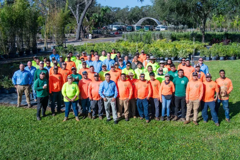 Local landscaping services experts serving Odessa, FL - Pine Lake Nursery & Landscape