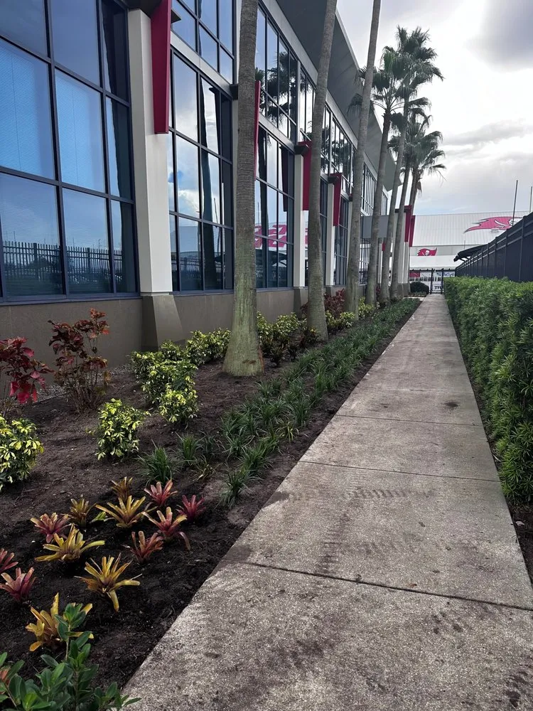 Reliable yard cleanup service experts serving Odessa, FL - Pine Lake Nursery & Landscape