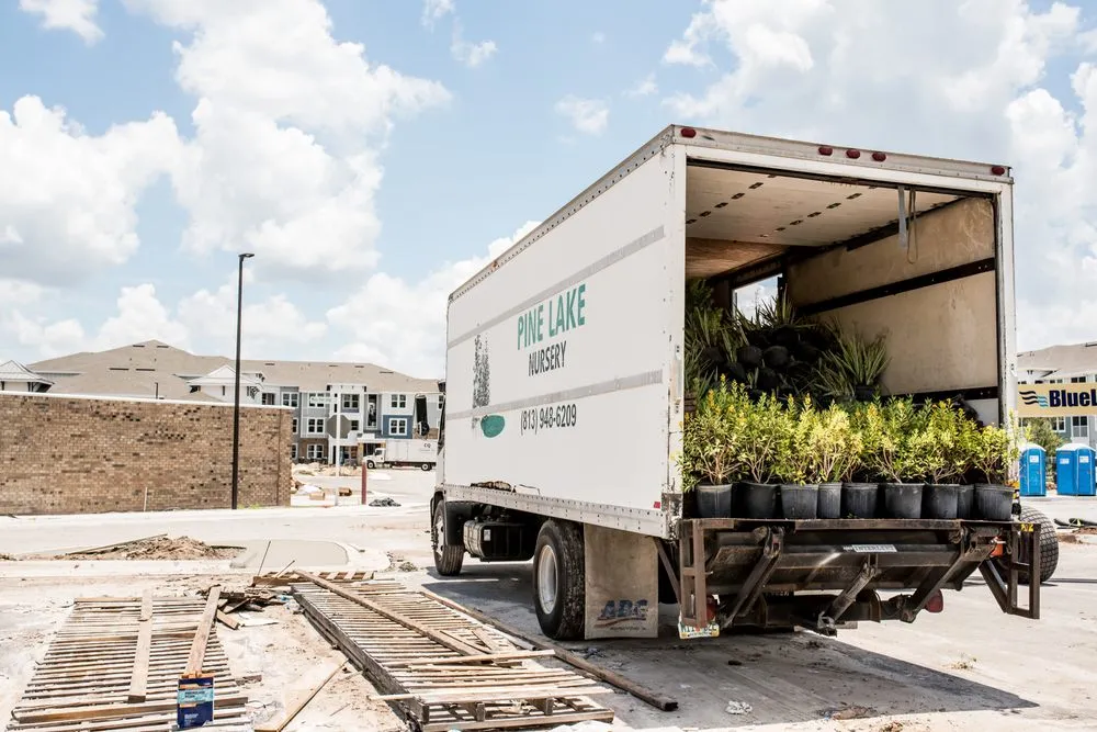 Local lawn mowing service in Odessa, FL - Pine Lake Nursery & Landscape