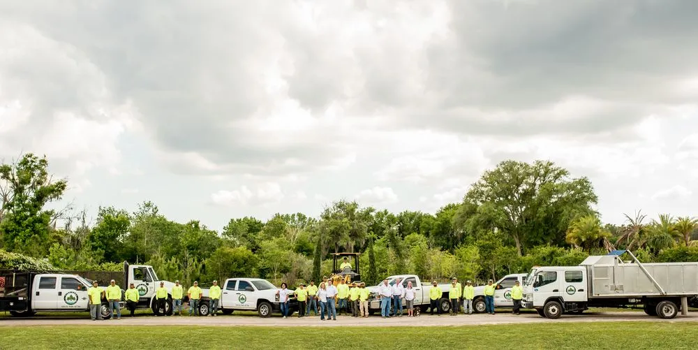 Custom landscape design experts serving Odessa, FL - Pine Lake Nursery & Landscape