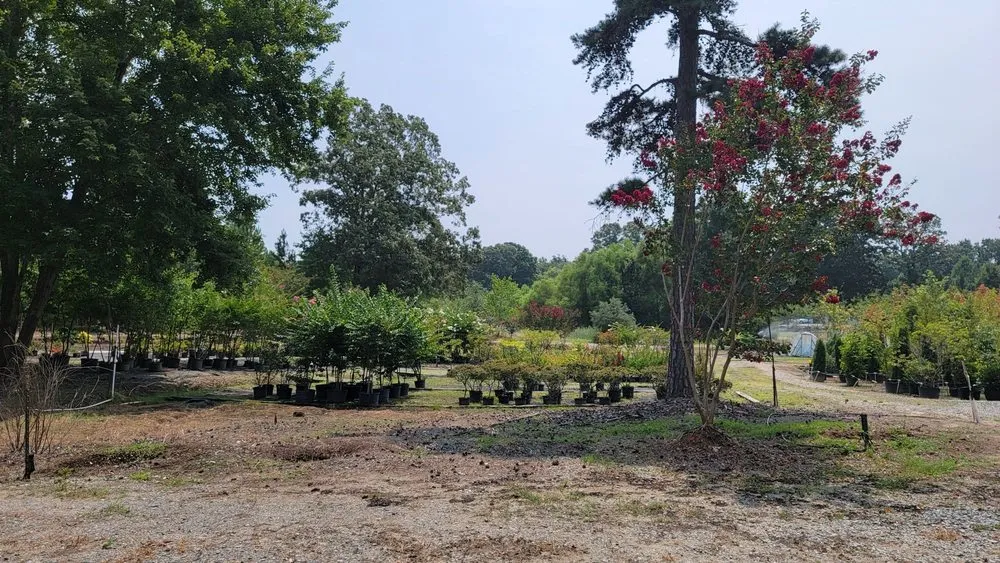 Custom garden landscaping near you across Matthews, NC - Pine Lake Nursery & Landscaping