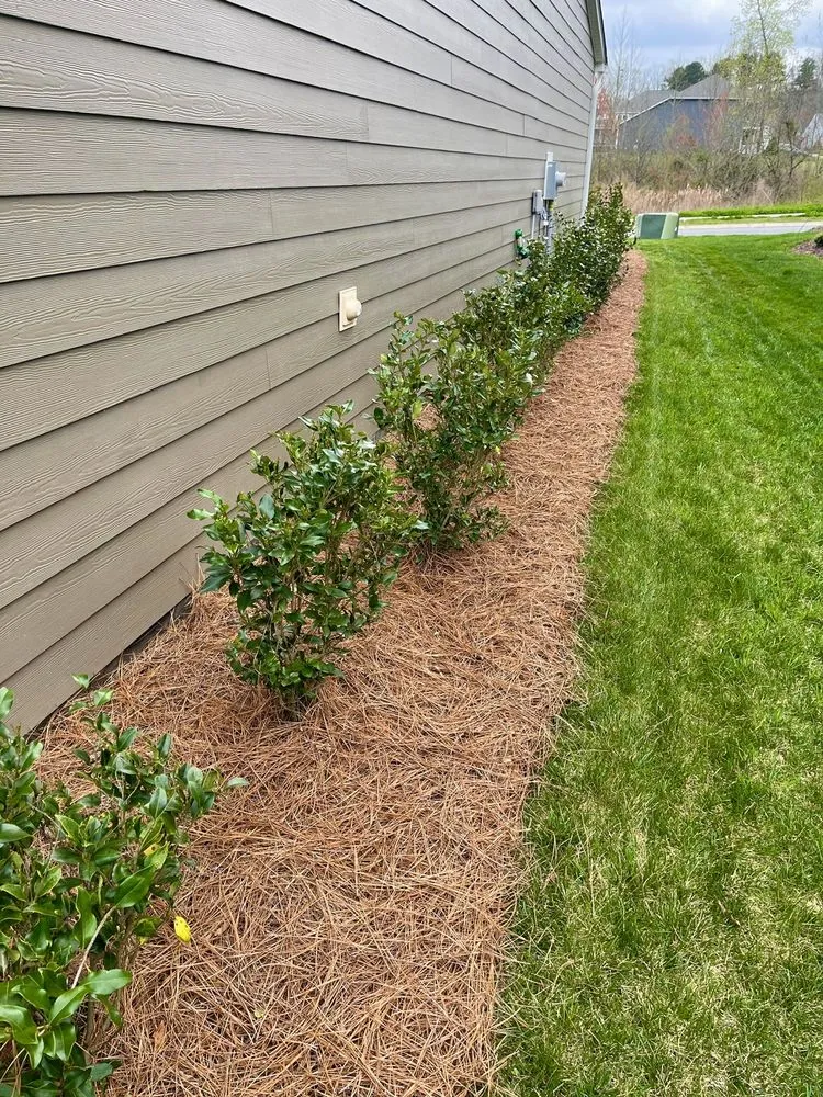 Professional residential landscaping in Charlotte, NC - Pine Needle Specialists