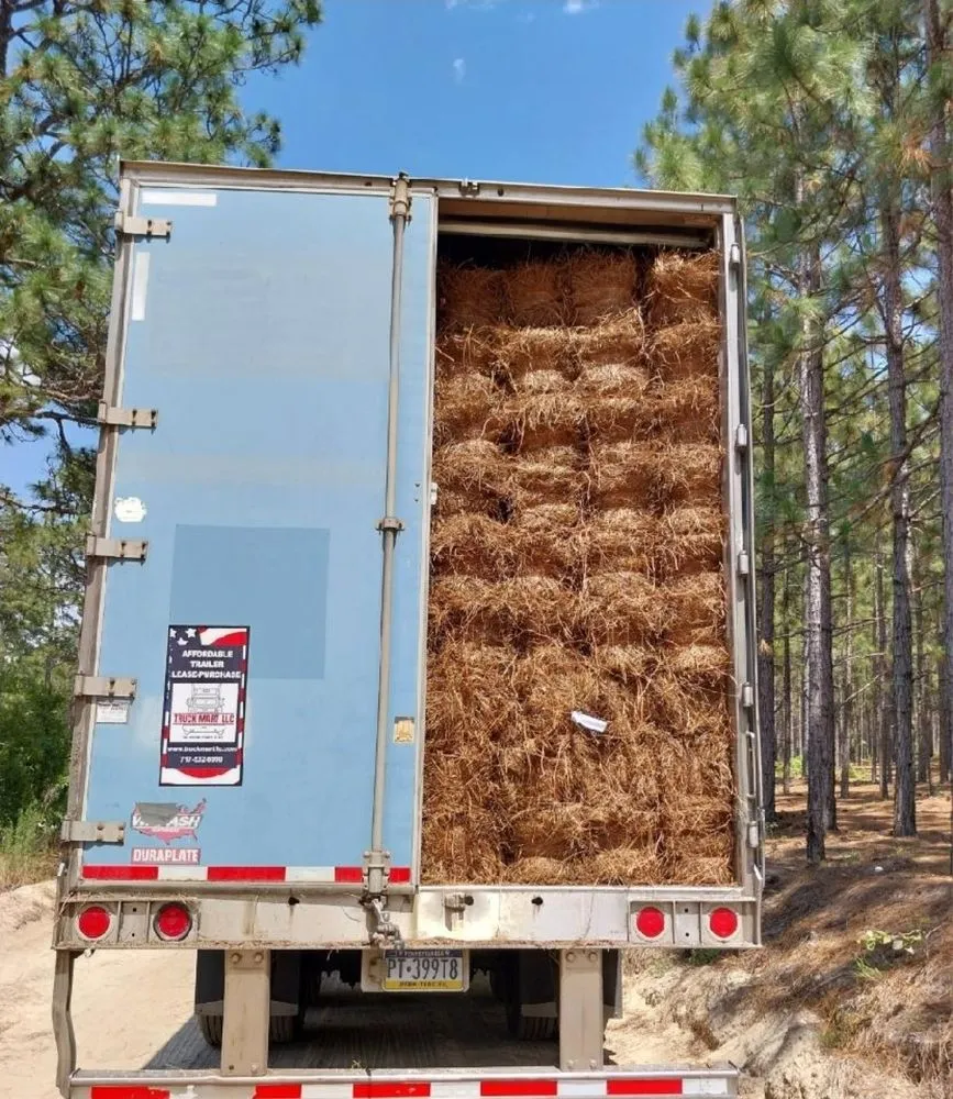 Trusted garden landscaping experts serving Monroe, NC - Pine Needles