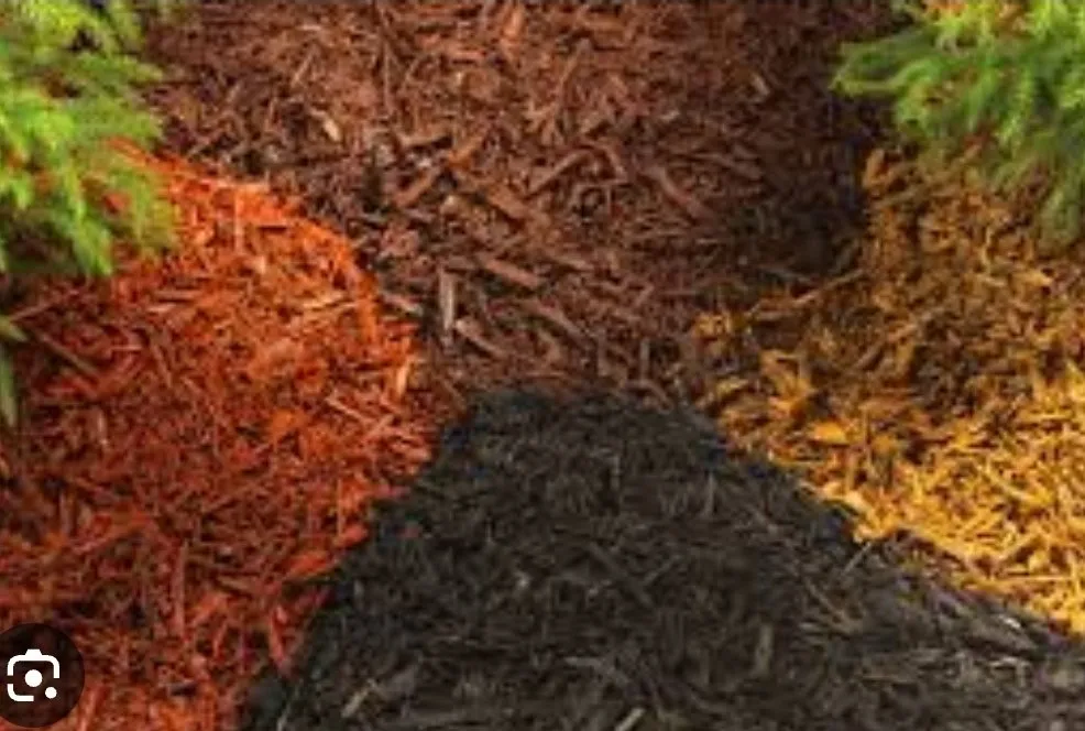 Local landscape design in Monroe, NC - Pine Needles