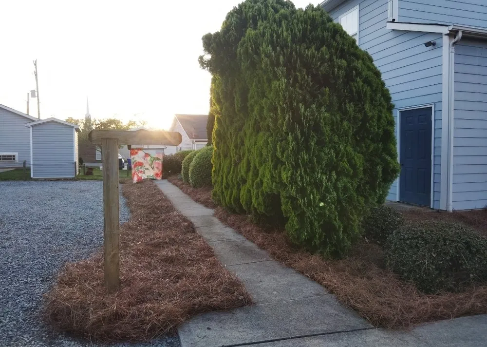 Top-rated outdoor landscaping in Monroe, NC - Pine Needles