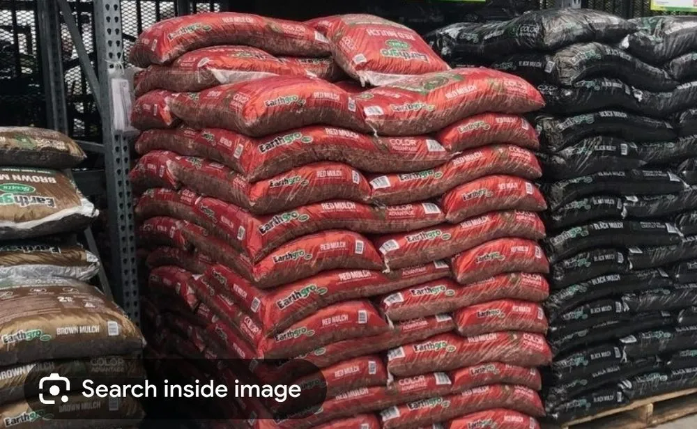 Trusted lawn mowing service experts serving Monroe, NC - Pine Needles