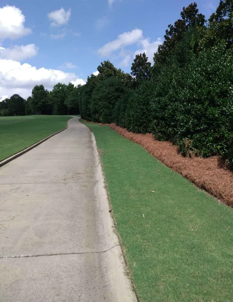 Local landscape design experts serving Monroe, NC - Pine Needles