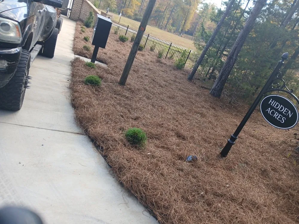 Expert yard cleanup service in Monroe, NC by Pine Needles