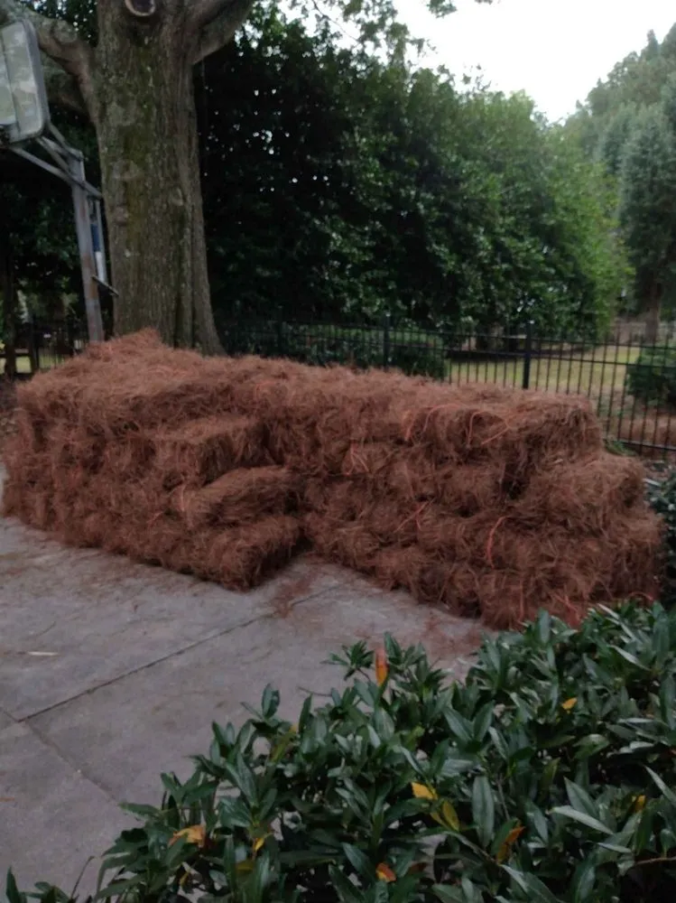 Trusted yard maintenance in Monroe, NC by Pine Needles