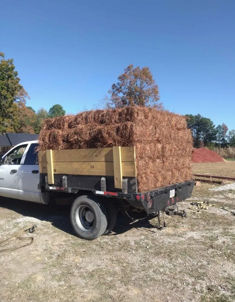 Affordable yard cleanup service for year-round maintenance across Monroe, NC - Pine Needles