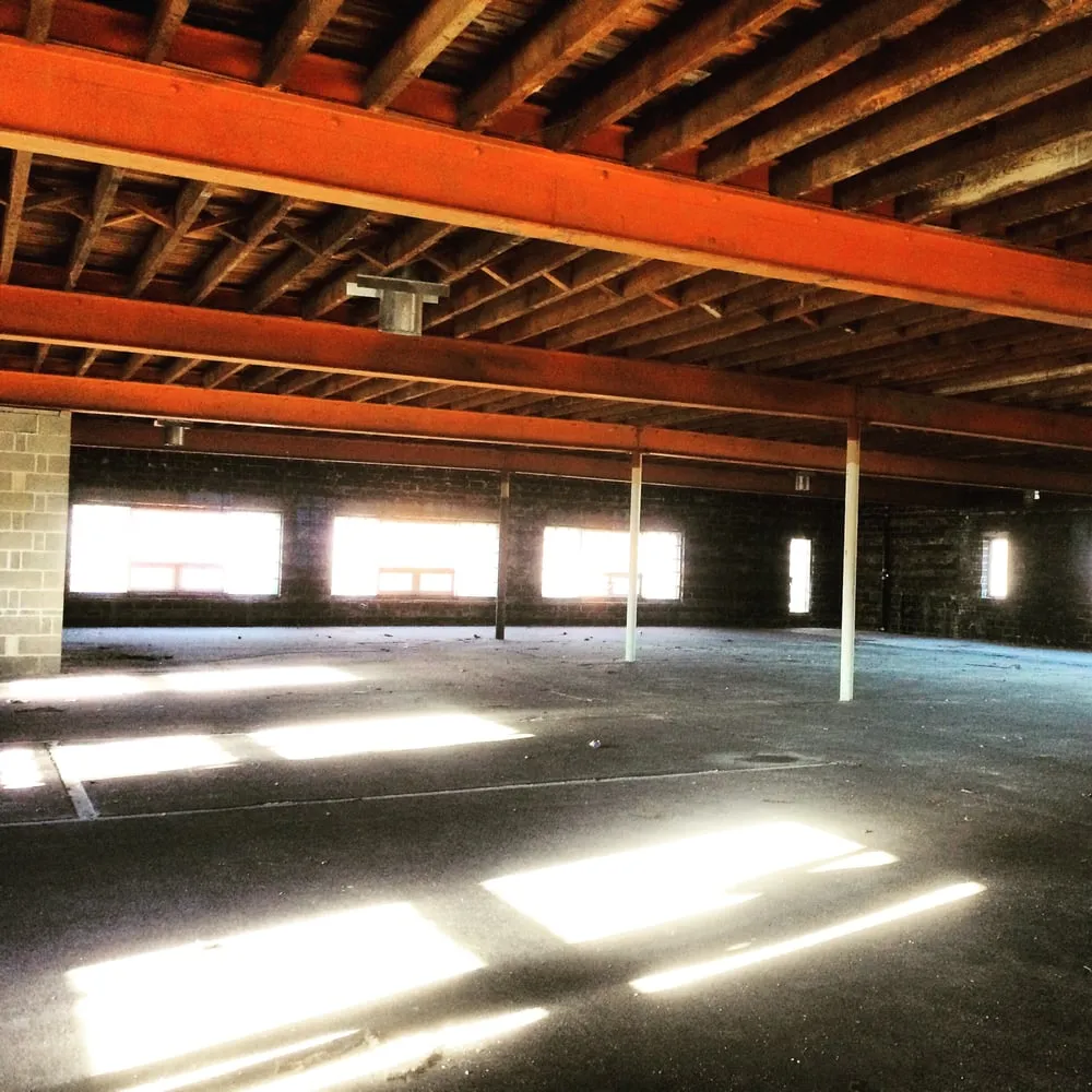 Professional landscaping services in Springfield, MA by Pine Point Property Management