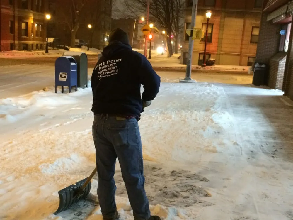 Trusted landscape design in Springfield, MA by Pine Point Property Management