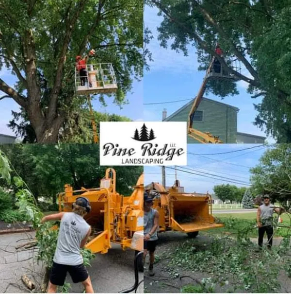 Reliable yard cleanup service in Bird-in-Hand, PA by Pine Ridge Landscaping