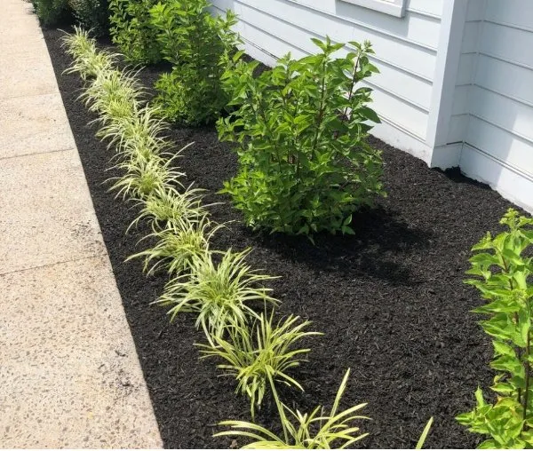 Top-rated lawn care service experts serving Bird-in-Hand, PA - Pine Ridge Landscaping