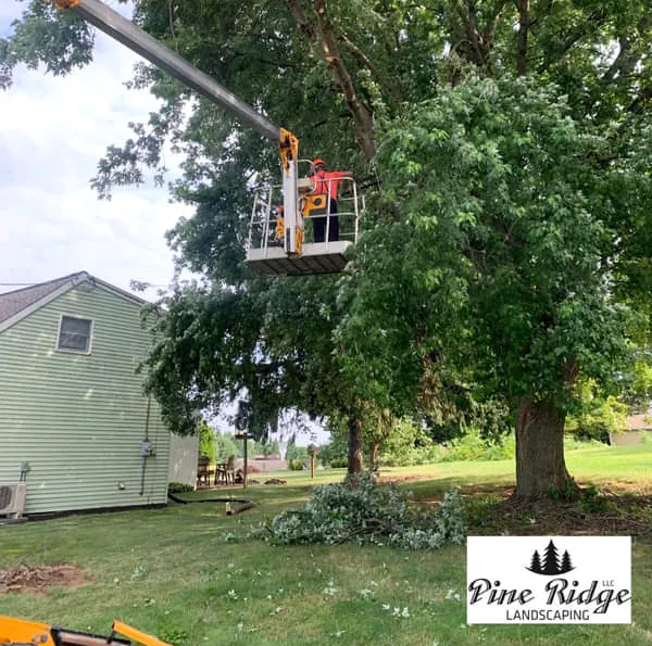 Professional lawn care service in Bird-in-Hand, PA by Pine Ridge Landscaping