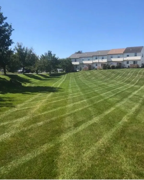 Professional lawn care service in Bird-in-Hand, PA - Pine Ridge Landscaping