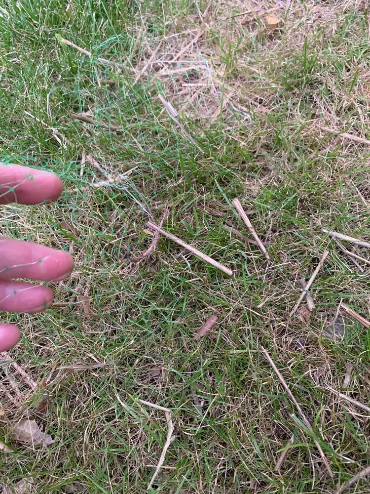 Affordable landscape design for homes in Leesburg, VA by Pine Ridge Landscaping