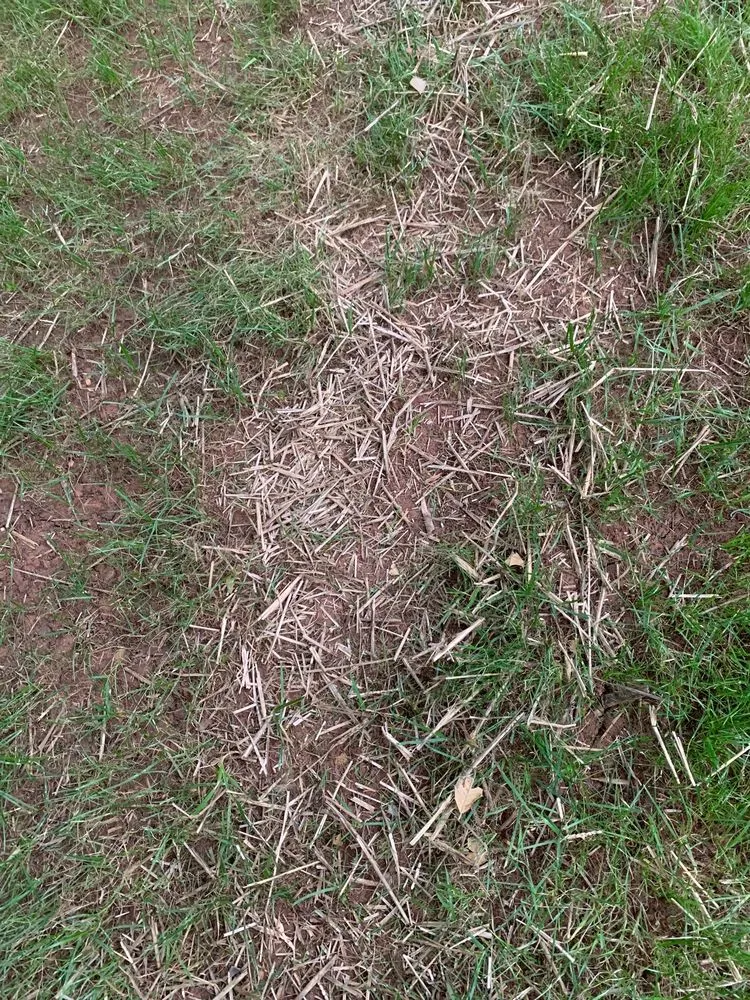 Trusted landscaping services experts serving Leesburg, VA - Pine Ridge Landscaping