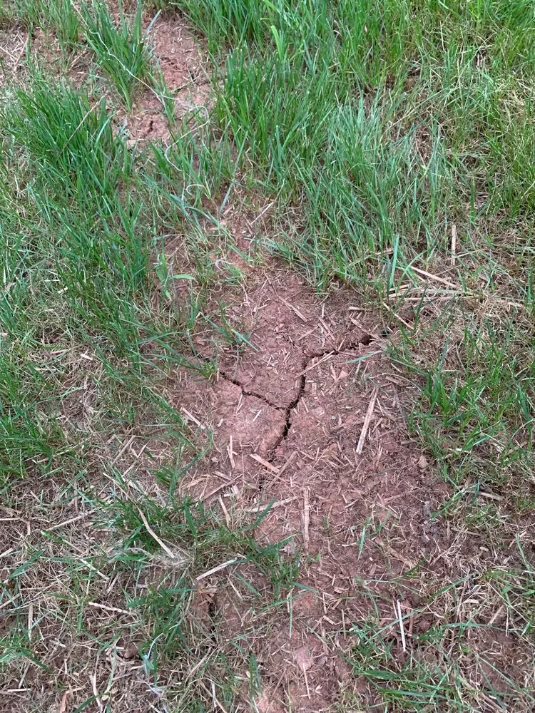 Reliable residential landscaping in Leesburg, VA - Pine Ridge Landscaping