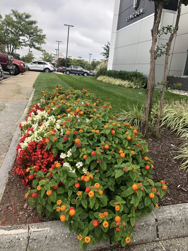 Top-rated yard cleanup service in Leesburg, VA - Pine Ridge Landscaping