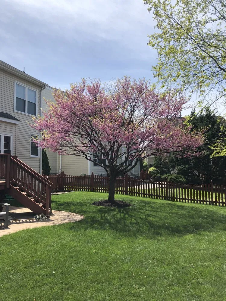 Local landscape installation in Leesburg, VA by Pine Ridge Landscaping