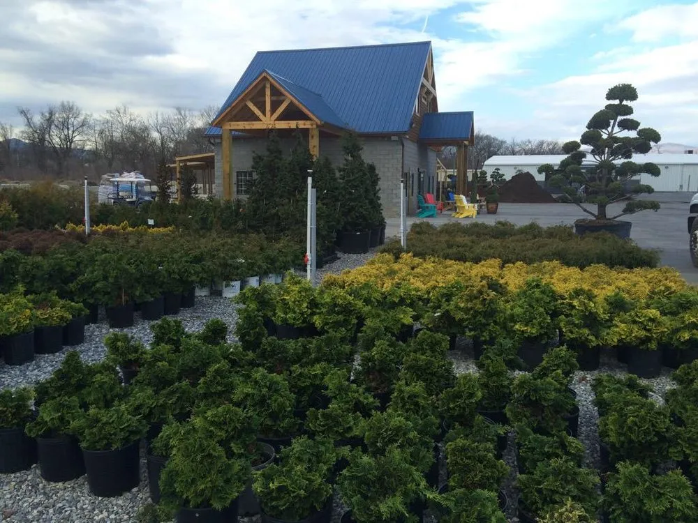 Expert landscape design in Salem, VA - Pine Ridge Nursery & Landscaping