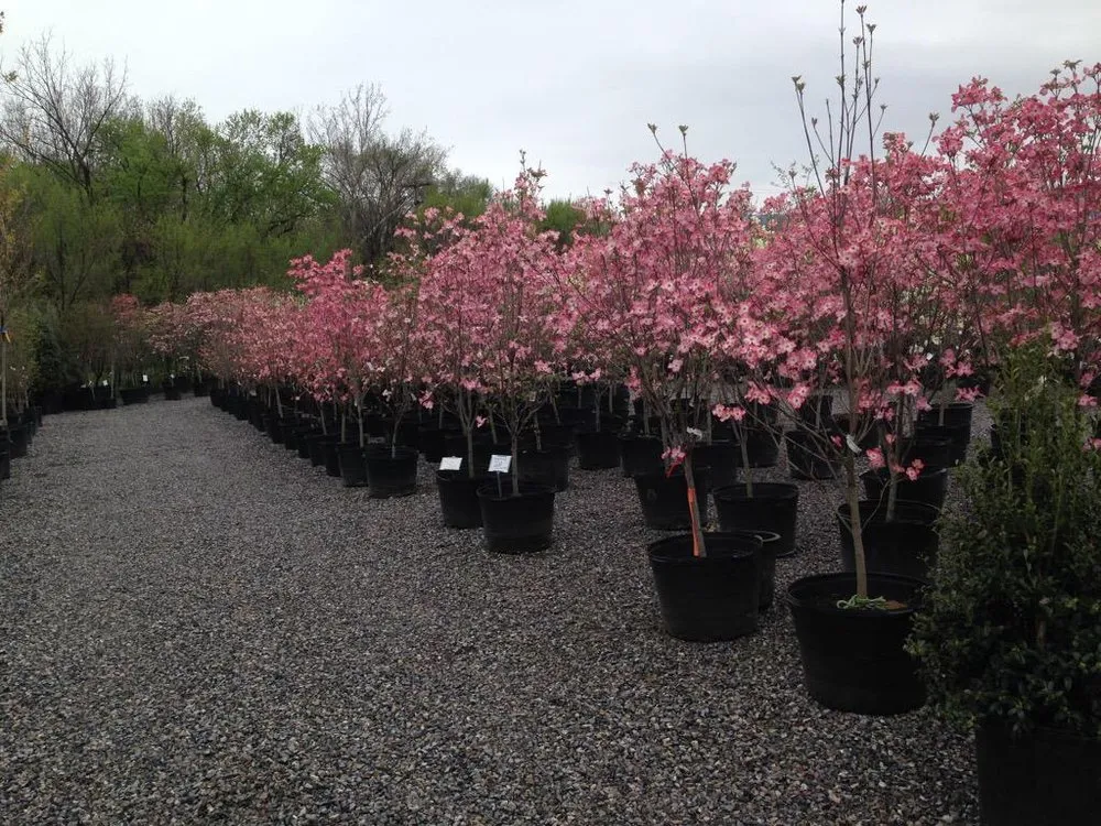 Reliable residential landscaping for outdoor upgrades in Salem, VA by Pine Ridge Nursery & Landscaping