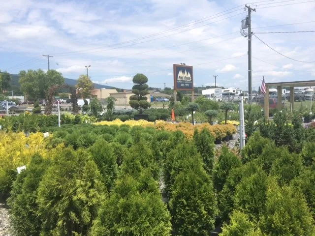 Professional landscape design in Salem, VA - Pine Ridge Nursery & Landscaping