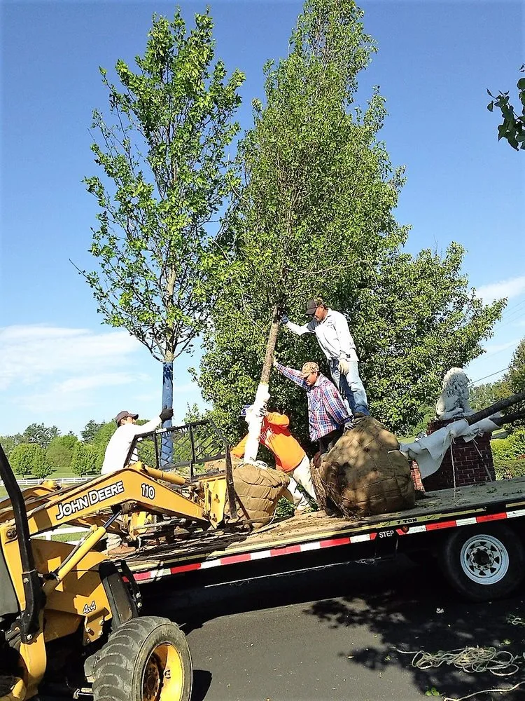 Reliable yard cleanup service for year-round maintenance in Salem, VA by Pine Ridge Nursery & Landscaping
