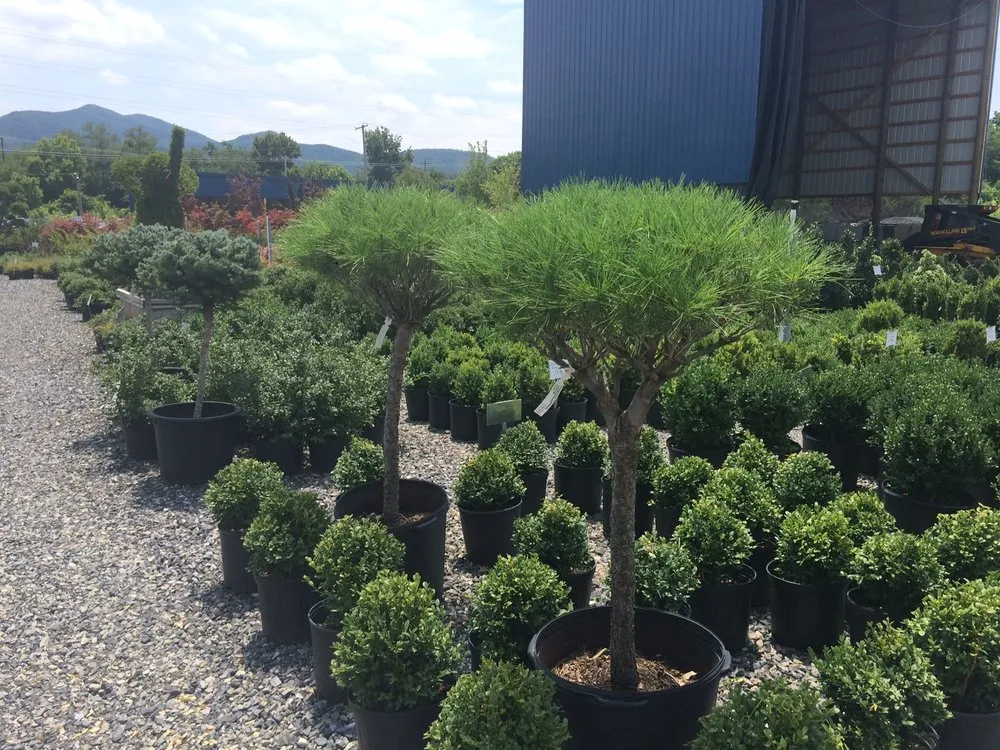 Custom garden landscaping experts serving Salem, VA - Pine Ridge Nursery & Landscaping