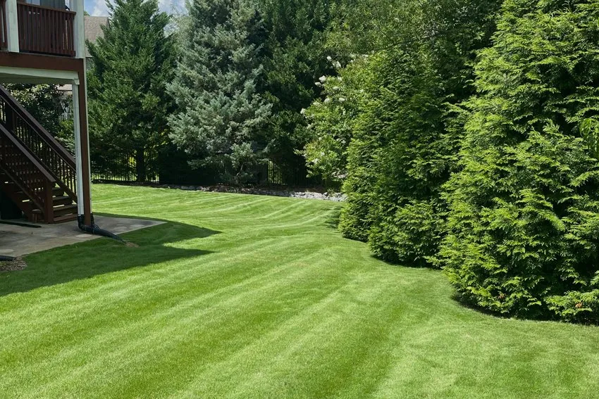 Reliable residential landscaping in Cumming, GA by Pine South Landscapes & Lawn Care