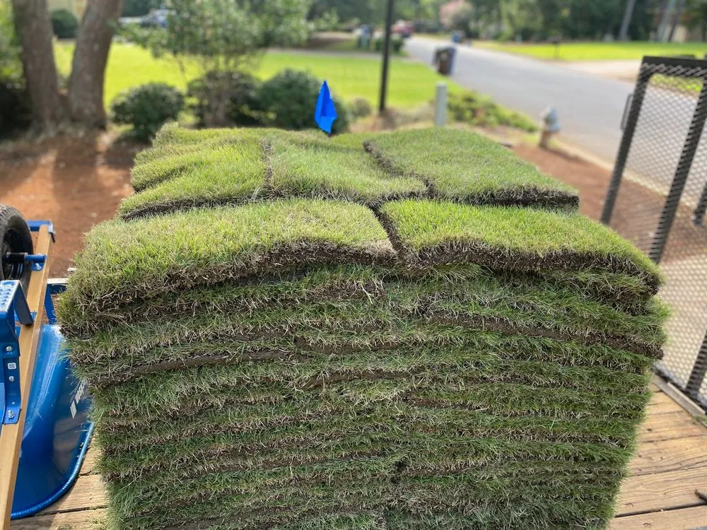 Local yard maintenance experts serving Cumming, GA - Pine South Landscapes & Lawn Care
