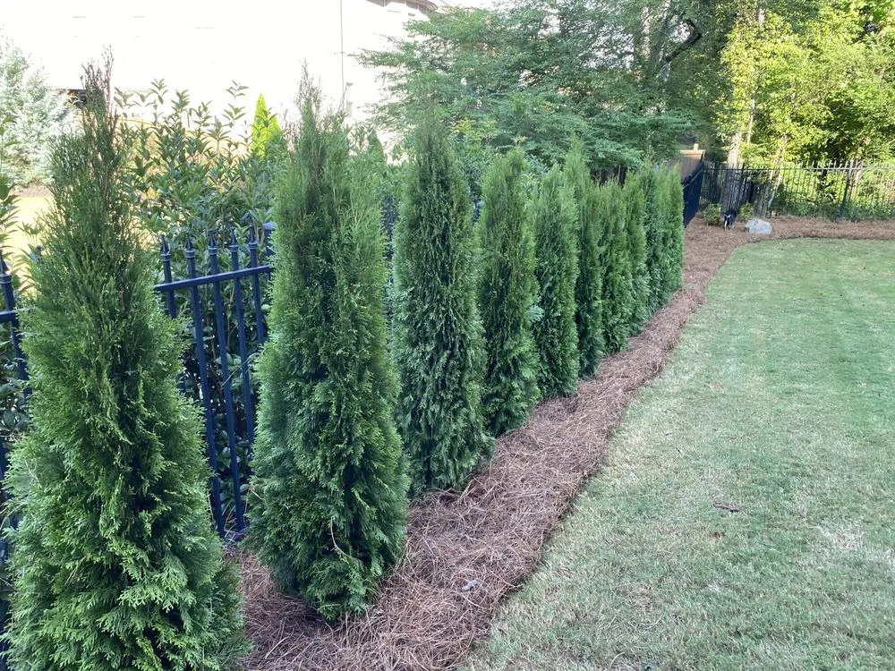 Professional landscape design for homes in Cumming, GA by Pine South Landscapes & Lawn Care