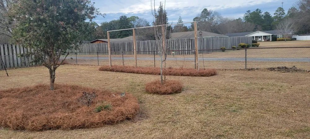 Reliable landscaping services in Jesup, GA - Pine Straw Direct