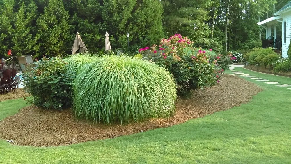 Local landscape design in Douglasville, GA by Pine Straw Plus