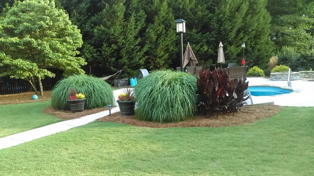 Reliable landscape design for beautiful yards across Douglasville, GA - Pine Straw Plus