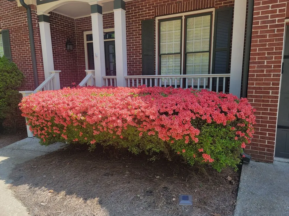 Expert landscaping services in Smyrna, GA by Pine Straw