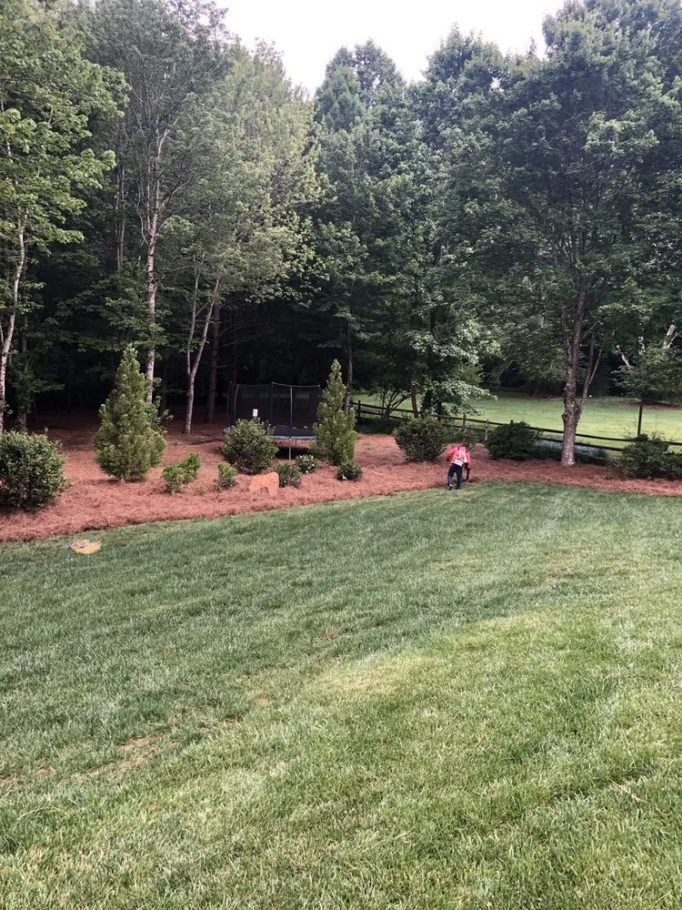 Professional lawn care service in Smyrna, GA by Pine Straw