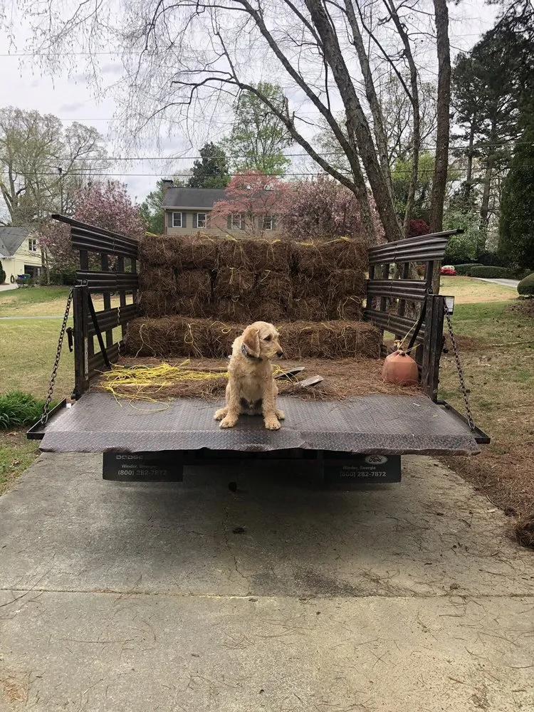 Affordable yard cleanup service in Smyrna, GA by Pine Straw