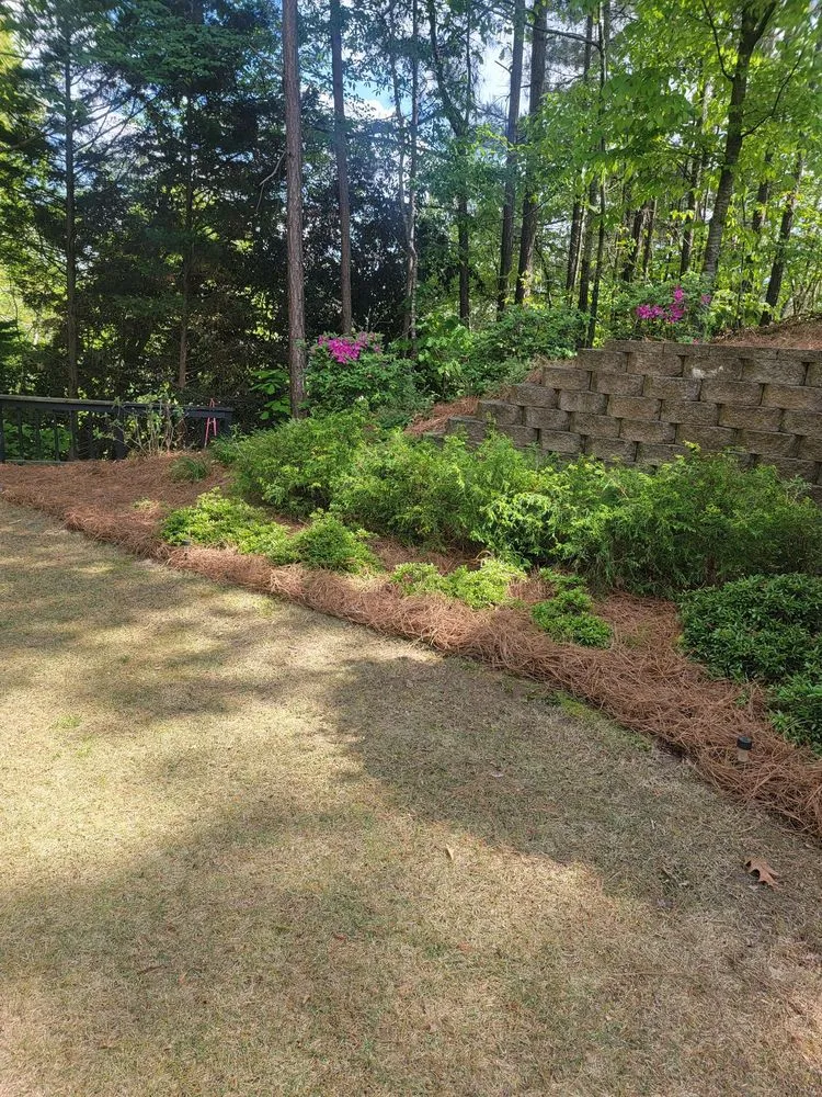 Top-rated outdoor landscaping for outdoor upgrades in Smyrna, GA by Pine Straw