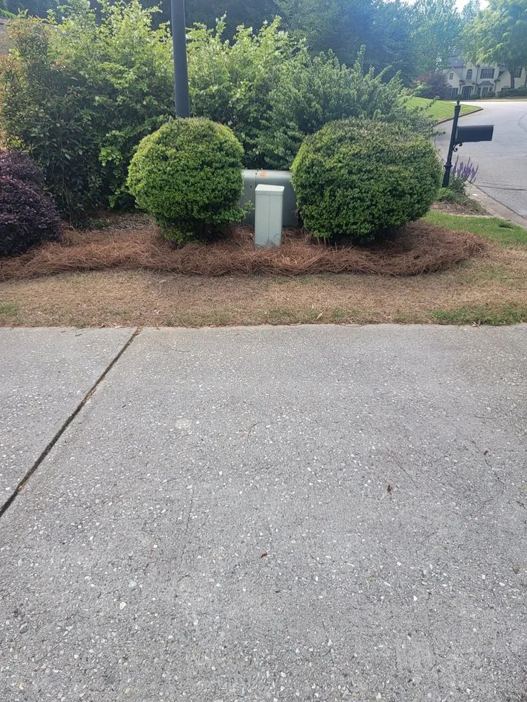Trusted landscaping services in Smyrna, GA by Pine Straw