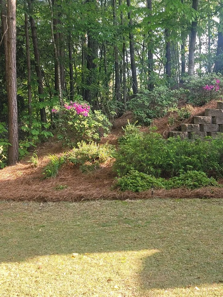 Local residential landscaping near you in Smyrna, GA by Pine Straw