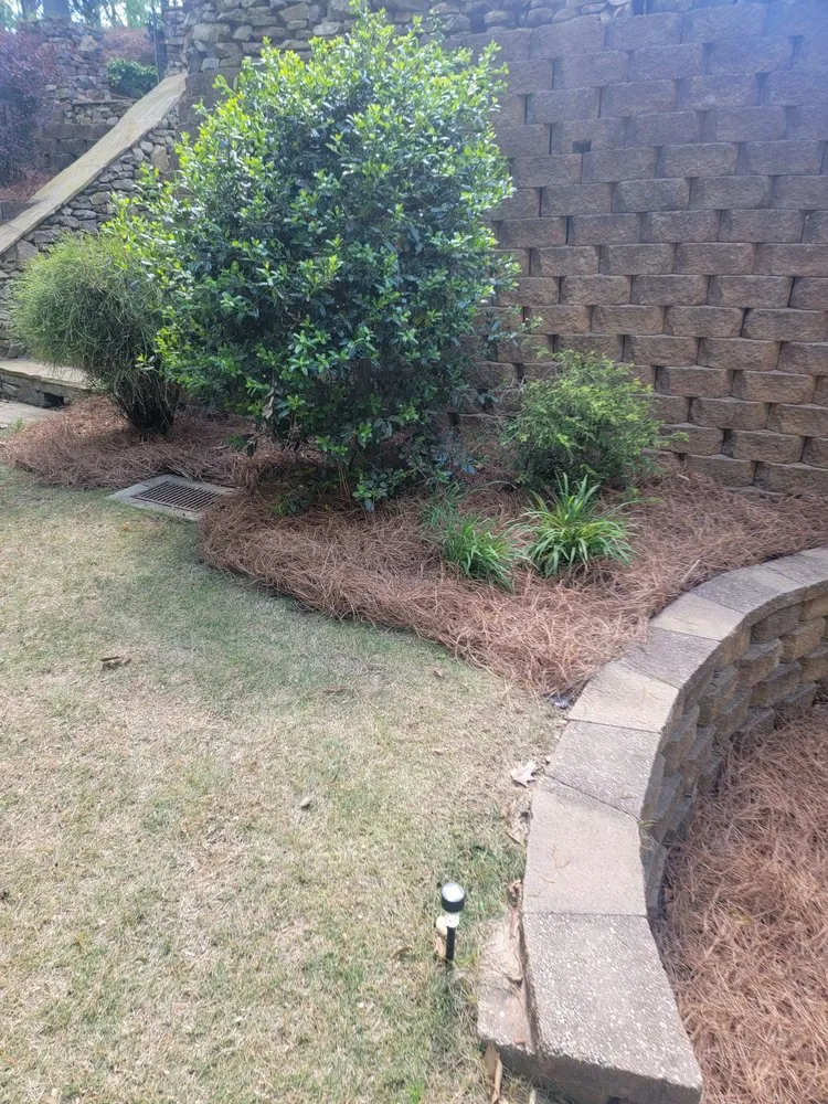 Trusted outdoor landscaping experts serving Smyrna, GA - Pine Straw