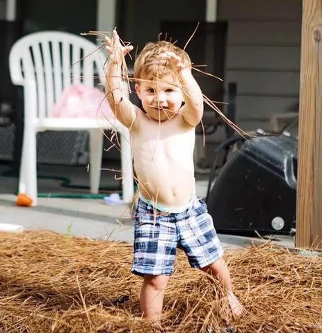 Trusted landscape installation for residential properties across Smyrna, GA - Pine Straw