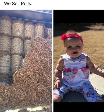 Reliable landscaping services experts serving Smyrna, GA - Pine Straw