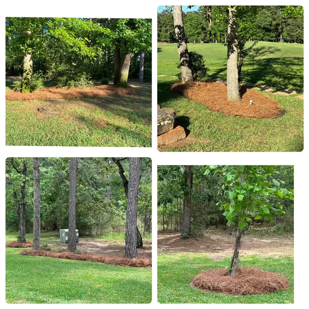 Affordable lawn mowing service in Katy, TX - Pine Straw Texas